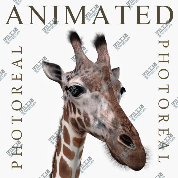 images/goods_img/202105072/Photoreal HD Giraffe/1.jpg